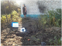 Боевики обстреляли дома мирных жителей в Новолуганском (фото)