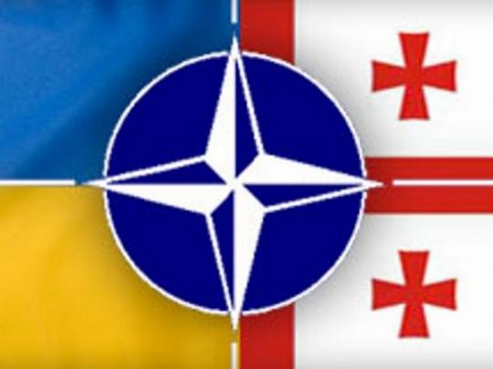 В Грузии завершились международные военные учения с участием Украины и НАТО