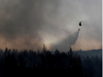 Афины просят Евросоюз оказать помощь в борьбе с лесными пожарами