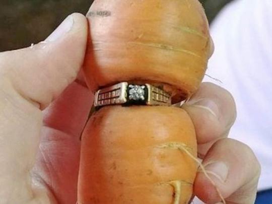 морковсь с бриллиантами