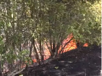 Боевики на Донбассе перешли к тактике «выжженной земли» (видео)