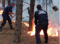 На Николаевщине «ползущим» пожаром охвачено 50 гектаров леса (фото)