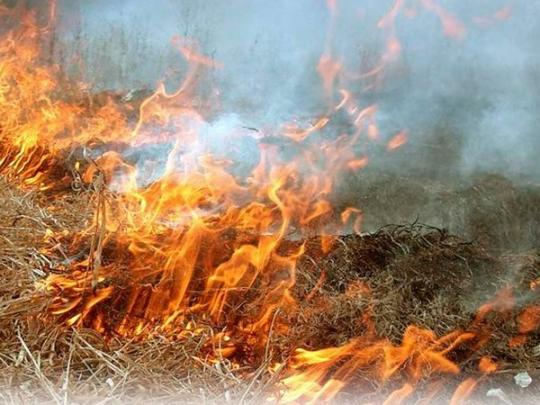 Ситуация с лесными пожарами и горящими торфяниками может выйти из-под контроля