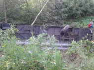 На Тернопольщине слетел с трассы пассажирский автобус, есть погибшие (фото)