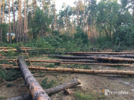 На Оболони в Киеве вырубка леса закончилась стрельбой