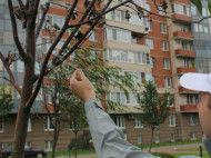 В России коммунальщики "благоустроили" двор, примотав скотчем к сухостоям зеленые ветки (видео)
