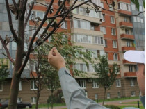 В России коммунальщики «озеленили» двор, приклеив к сухостоям зеленые ветки (видео)