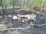 Кременчугские пожарные спасли лесной массив, который загорелся от взорвавшейся «копейки» (фото)