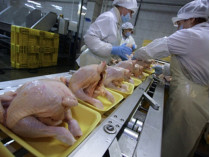 Производство курятины