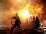 Пожар в Дарницком районе Киева: к тушению привлекли 11 единиц специальной техники (обновлено, фото, видео)