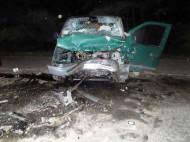 На Виннитчине в результате лобового столкновения автомобилей погибли четыре человека (фото)