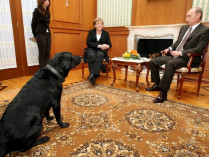 Немецкий журнал назвал президента Путина «собакой»