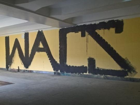 В Киеве удалось поймать и наказать автора граффити в подземном переходе