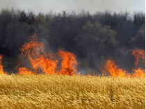 Пожар в поле