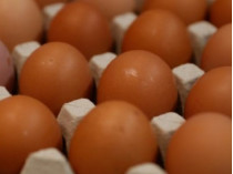 Японские ученые вывели генетически модифицированных кур, в яйцах которых содержится лекарство от рака и прочих серьезных заболеваний