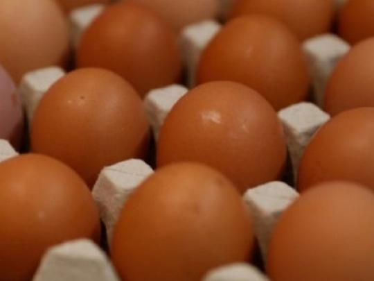Японские ученые вывели генетически модифицированных кур, в яйцах которых содержится лекарство от рака и прочих серьезных заболеваний