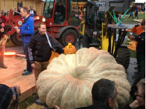 Бельгийский фермер вырастил тыкву весом более тонны (фото)