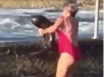 Австралийка голыми руками поймала акулу (видео)