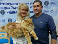 Самый большой кот в Украине живет в Днепре