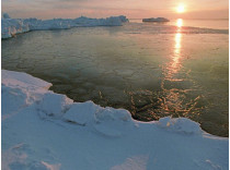 В Арктике вводится мораторий на ловлю рыбы