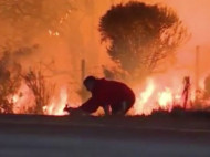 Мужчина, рискуя жизнью, вынес дикого кролика из огня во время лесного пожара в Калифорнии (видео)