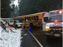В Канаде школьный автобус столкнулся с грузовиком (фото) 