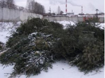 С 12 января в каждом районе Киева начнут прием елок и сосен 