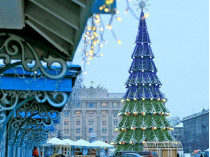 В Украине назовут самую высокую новогоднюю елку страны