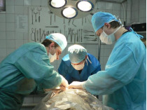 хирурги