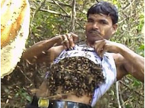 Индиец с пчелами