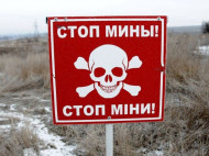 Правозащитники подсчитали, сколько детей ежедневно гибнет от мин на Донбассе