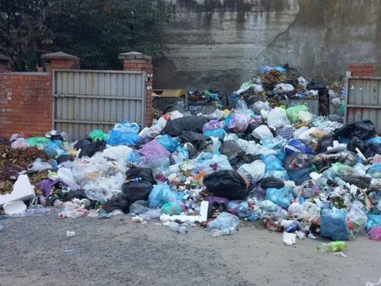 Львов выделил участок для строительства завода по переработке мусора