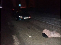 На Николаевщине водитель сбил 13-летнюю пьяную школьницу, сидевшую прямо на дороге