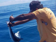 В Новой Зеландии рыбак вступил в схватку с акулой, пристыдив ее за кражу (фото)