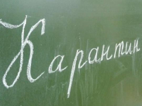 Грипп и простуда отправили на вынужденные каникулы более 30 тысяч школьников Днепропетровщины