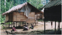 Деревня на севере Малайзии