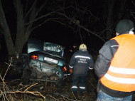 На Днепропетровщине слетел с трассы и разбился автомобиль, погибли четверо подростков (фото)