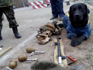 Служебный лабрадор спас жителей Авдеевки от заминированного российского беспилотника (фото)
