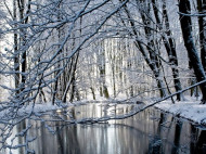 "Резкого потепления не будет": Укргидрометцентр рассказал, сколько продлятся снегопады