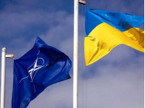 Порошенко поручил МИДу заняться планом по членству Украины в НАТО