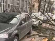В столице дерево повредило два авто