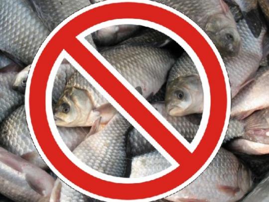 С 1 апреля в Украине запрещен вылов рыбы 