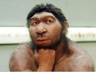 Палеонтологи выяснили, почему у неандертальцев был крупный нос