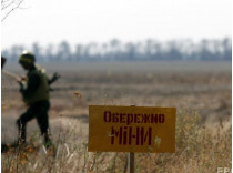 На Луганщине на мине подорвалась семья из четырех человек 