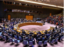 Совбез ООН отклонил резолюцию России с осуждением удара по Сирии