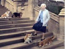 Королева со своими собаками