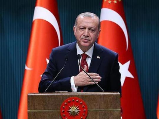 Парламент Турции поддержал проведение досрочных выборов