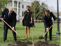 С поляны Белого дома исчезло дерево Макрона