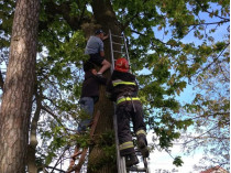 Ривненские спасатели сняли с дерева мужчину, который полез за&#133; котом (фото)