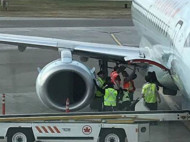 В аэропорту Торонто енот сорвал отправление самолета